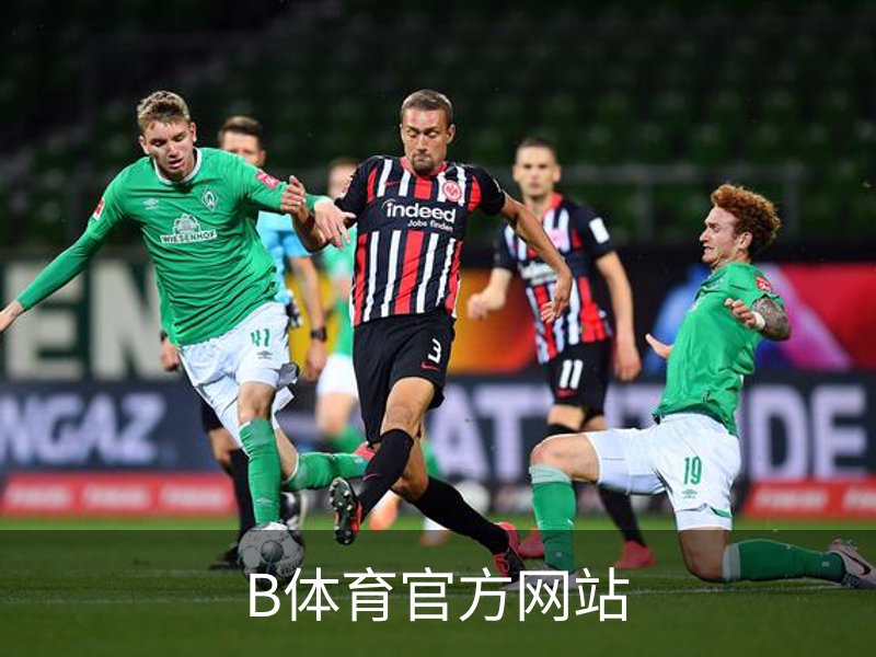 关于B体育官方网站